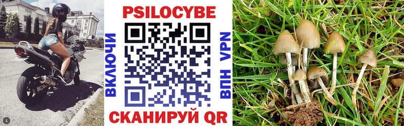 Галлюциногенные грибы прущие грибы  наркошоп  Тейково 